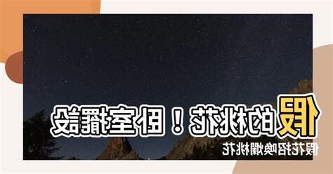 假花 爛桃花